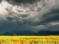 Pd%20storm%202