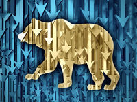 Photodune 7989792 bear market xs