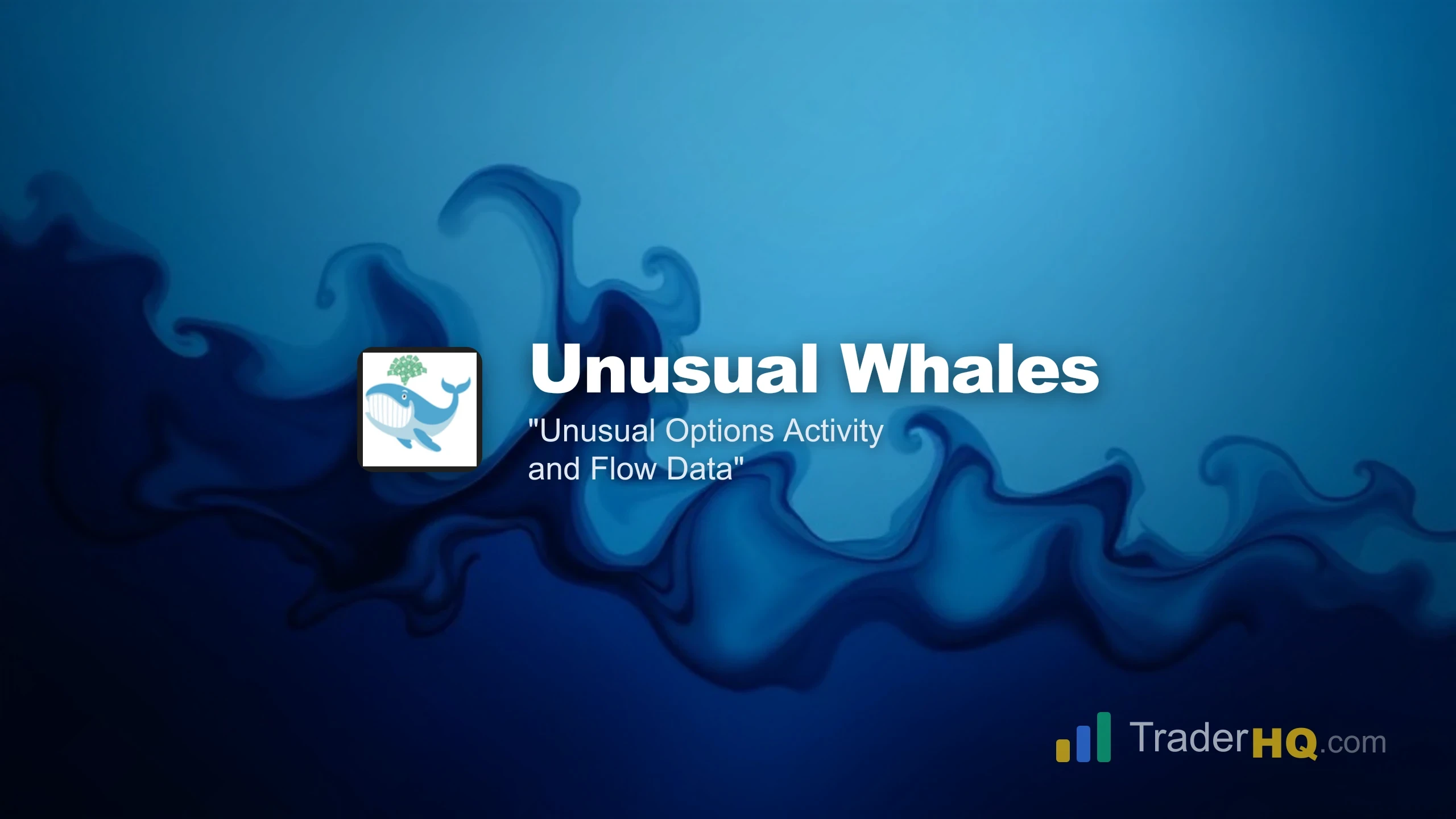 Unusual Options Activity and Flow Data - Unusual Whales Review: Real Options Flow Data or Just Noise?