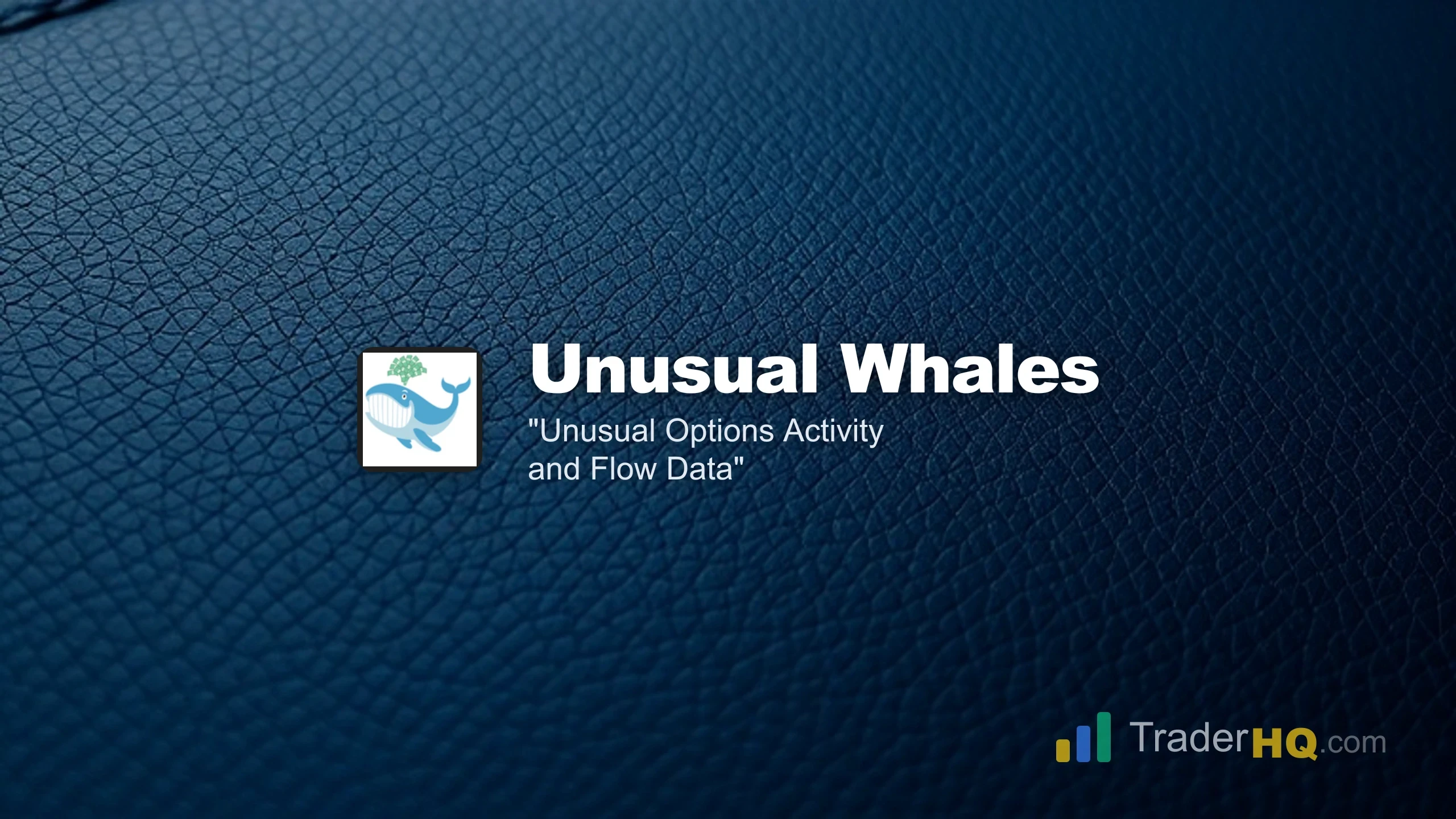 Unusual Options Activity and Flow Data - Unusual Whales Review: Real Options Flow Data or Just Noise?