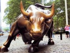 Bull